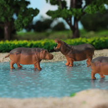 Load image into Gallery viewer, 12 pcs Miniature Hippo Wild Animal 1:87 Figures HO Scale Models Toys Landscape Garden Scenery Layout Scene Accessories Diorama Supplies