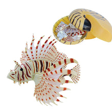 Load image into Gallery viewer, Set of 4 Coral Fish Animal Part I 4D 3D Puzzle Model Educational DIY Toy