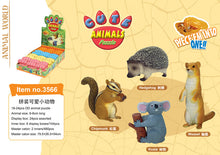 Load image into Gallery viewer, Set of 4 Cute Animal 4D 3D Puzzle Realistic Model DIY Educational Toy