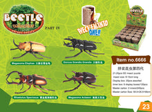 Load image into Gallery viewer, Set of 4 Beetle Insect Part IV 4D 3D Animal Puzzle Realistic Model DIY Educational Toy
