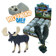 Load image into Gallery viewer, Set of 4 North American Animals 4D 3D Puzzle Egg Realistic Model DIY Educational Toy