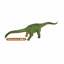 Load image into Gallery viewer, Set of 4 Dinosaur Dino Part VII 4D 3D Puzzle Model DIY Educational Toy