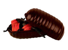 Load image into Gallery viewer, Set of 4 Disgusting Bug Animal 4D 3D Puzzle Realistic Model DIY Educational Toy