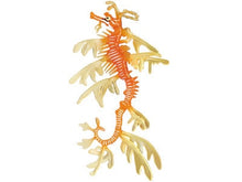 Load image into Gallery viewer, Set of 4 Coral Fish Animal Part III 4D 3D Puzzle Model DIY Educational Toy