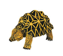 Load image into Gallery viewer, Set of 4 Reptile Animal Part II 4D 3D Puzzle Egg Model Toy Tortoise Gecko Giant Boa