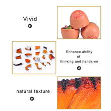 Load image into Gallery viewer, Set of 4 Dinosaur Dino Part I 4D 3D Puzzle Egg Model DIY Educational Toy
