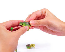 Load image into Gallery viewer, Set of 4 Reptile Animal Part I 4D 3D Puzzle Egg Model Toy Chameleon Tortoise King Cobra