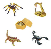 Load image into Gallery viewer, Set of 4 Desert Creatures Animal 4D 3D Puzzle Realistic Model DIY Educational Toy