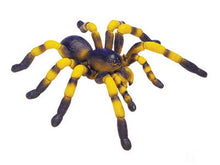 Load image into Gallery viewer, Set of 4 Desert Creatures Animal 4D 3D Puzzle Realistic Model DIY Educational Toy