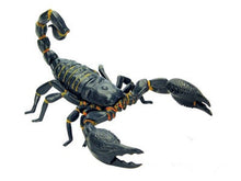 Load image into Gallery viewer, Set of 4 Desert Creatures Animal 4D 3D Puzzle Realistic Model DIY Educational Toy