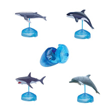Load image into Gallery viewer, Set of 4 Sea Animal Part I 4D 3D Puzzle Realistic Model DIY Educational Toy