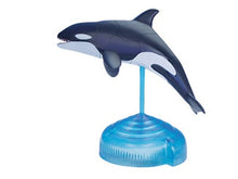 Load image into Gallery viewer, Set of 4 Sea Animal Part I 4D 3D Puzzle Realistic Model DIY Educational Toy