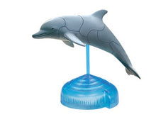 Load image into Gallery viewer, Set of 4 Sea Animal Part I 4D 3D Puzzle Realistic Model DIY Educational Toy