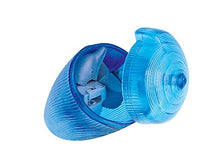 Load image into Gallery viewer, Set of 4 Sea Animal Part I 4D 3D Puzzle Realistic Model DIY Educational Toy