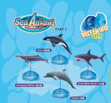 Load image into Gallery viewer, Set of 4 Sea Animal Part I 4D 3D Puzzle Realistic Model DIY Educational Toy