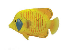 Load image into Gallery viewer, Set of 4 Coral Fish Animal Part II 4D 3D Puzzle Model Educational DIY Toy