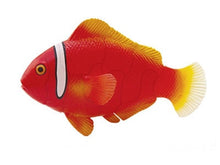 Load image into Gallery viewer, Set of 4 Coral Fish Animal Part II 4D 3D Puzzle Model Educational DIY Toy