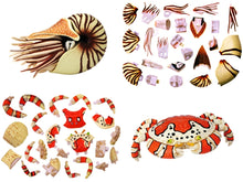 Load image into Gallery viewer, Set of 4 Sea Creatures Animal Part I 4D 3D Puzzle Model DIY Educational Toy