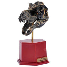 Load image into Gallery viewer, Dino Dinosaur Skeleton Fossil 4D Puzzle Model Kit Toy (6 styles to choose from)