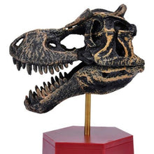 Load image into Gallery viewer, Dino Dinosaur Skeleton Fossil 4D Puzzle Model Kit Toy (6 styles to choose from)