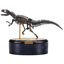 Load image into Gallery viewer, Dino Dinosaur Skeleton Fossil 4D Puzzle Model Kit Toy (6 styles to choose from)