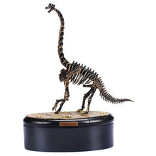 Load image into Gallery viewer, Dino Dinosaur Skeleton Fossil 4D Puzzle Model Kit Toy (6 styles to choose from)