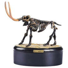 Load image into Gallery viewer, Dino Dinosaur Skeleton Fossil 4D Puzzle Model Kit Toy (6 styles to choose from)