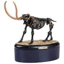 Load image into Gallery viewer, Dino Dinosaur Skeleton Fossil 4D Puzzle Model Kit Toy (6 styles to choose from)