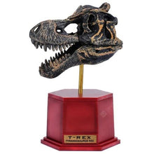 Load image into Gallery viewer, Dino Dinosaur Skeleton Fossil 4D Puzzle Model Kit Toy (6 styles to choose from)