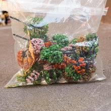 Load image into Gallery viewer, 30pcs Miniature Model Trees 3-10cm HO Scale Train Scenery Diorama Supplies Colorful Landscape Plants Railway Layout Kit
