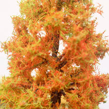 Load image into Gallery viewer, 10cm/ 15cm/ 23cm Miniature Autumn Gold Wire Tree Model for DIY Dioramas, Train Railway Layouts, Dollhouse Gardens &amp; Landscape Projects
