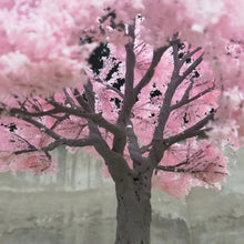 Load image into Gallery viewer, 10/15/25cm Miniature Cherry Blossom Tree Model G Scale Train Railway Accessories Fairy Garden Landscape Terrarium Diorama Craft Supplies
