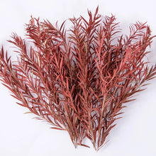 Load image into Gallery viewer, Miniature Wetland Reed Plants and Long Leaf Grass Clusters for HO OO N Scale Dioramas, Military Scenery, Micro Landscapes and Model Making
