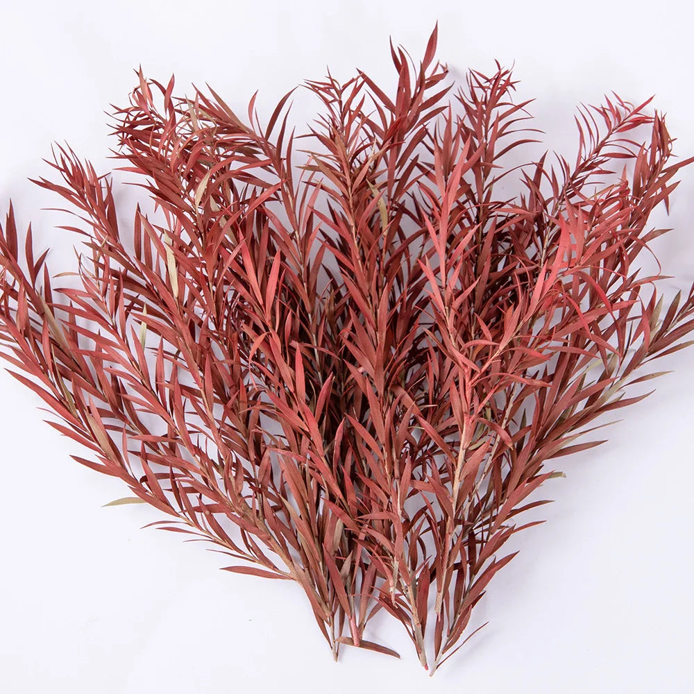 Miniature Wetland Reed Plants and Long Leaf Grass Clusters for HO OO N Scale Dioramas, Military Scenery, Micro Landscapes and Model Making