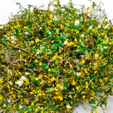 Load image into Gallery viewer, Miniature Flower Vines for Dioramas, Dollhouse Landscaping, Model Railway Scenery, DIY Fairy Garden Supply
