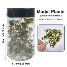 Load image into Gallery viewer, Miniature Tree Branches, Model Railway Diorama Scenery (1 Box)
