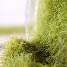 Load image into Gallery viewer, 8mm Static Grass Flock 30g for Miniature Diorama Scenery Railway Landscape Model Turf Fibers
