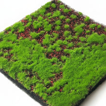 Load image into Gallery viewer, Artificial Moss Sheet Grass Mat, Fake Turf for DIY Crafts, Miniature Landscape Moss
