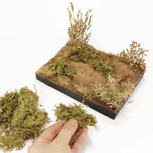 Load image into Gallery viewer, Miniature Model Foliage: 10g Artificial Moss &amp; Shrub Material (Dry or Green)
