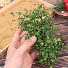 Load image into Gallery viewer, 1 Box Green Simulation Vine for Diorama Model Scenery, Miniature Landscape, Dollhouse, Sand Table, Wargame Terrain Craft Supplies
