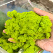 Load image into Gallery viewer, 50g Static Grass Tufts for Miniature Diorama Scenery, Model Railway, Landscape Terrain, Dollhouse Ground
