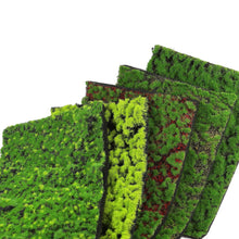 Load image into Gallery viewer, Miniature Moss Grass Mat 20x28cm for Diorama Railway Layout Landscape DIY Model Scenery
