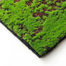 Load image into Gallery viewer, Artificial Moss Sheet Grass Mat, Fake Turf for DIY Crafts, Miniature Landscape Moss
