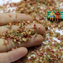 Load image into Gallery viewer, Miniature Dried Leaf Scatter for Diorama, Model Terrain Foliage, Landscaping, Railway Scene, Craft Supply
