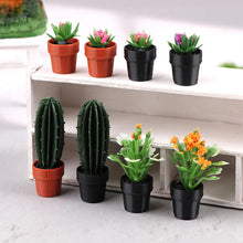 Load image into Gallery viewer, 5pcs Mini Dollhouse Potted Plants 1:12 Scale for Dollhouse Furniture, DIY Decoration, Christmas Gift, Fairy Garden, Diorama Accessories
