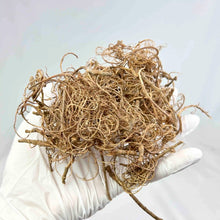 Load image into Gallery viewer, 15g/20g Simulation Plant Grass Roots Material for Diorama, Model Scenery, Miniature Landscape, Wargaming Terrain, Vine Hay Craft Supplies
