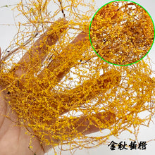 Load image into Gallery viewer, Miniature Vine Model for Diorama Scenery, Train Layout, Wargame Terrain, Sand Table Vegetation Craft Supply
