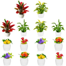 Load image into Gallery viewer, 14pcs Dollhouse Mini Plants – Miniature Bonsai Flowers Greenery for Dollhouse Furniture, DIY Decoration, Christmas Gift, Diorama Accessories
