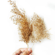 Load image into Gallery viewer, Natural Dry Grass Model Scenery for HO N Scale Railway Diorama Miniature Landscape Material
