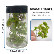 Load image into Gallery viewer, Miniature Tree Branches, Model Railway Diorama Scenery (1 Box)
